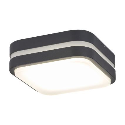 Rabalux 8849 - LED Kültéri fali lámpa HAMBURG LED/10W/230V IP44