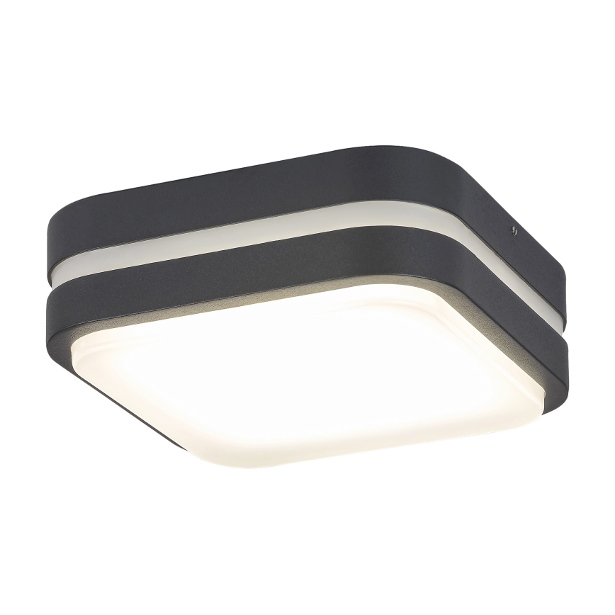 Rabalux 8849 - LED Kültéri fali lámpa HAMBURG LED/10W/230V IP44