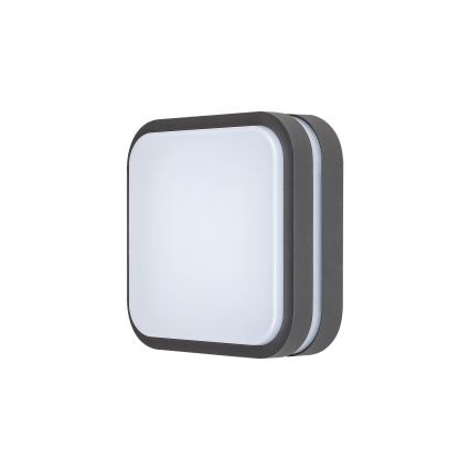 Rabalux 8849 - LED Kültéri fali lámpa HAMBURG LED/10W/230V IP44