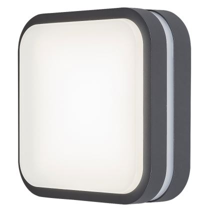 Rabalux 8850 - LED Kültéri fali lámpa HAMBURG LED/12W/230V IP44