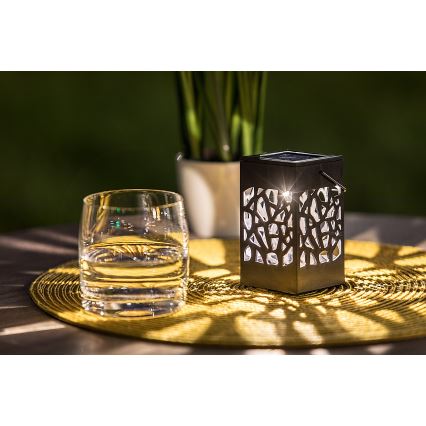 Rabalux - LED Kültéri napelemes lámpa LED/0,07W/1xAAA IP23 200 mAh