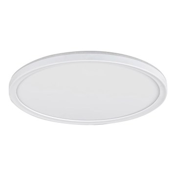 Rabalux - fényerőszabályozható LED mennyezeti lámpa LED/22W/230V, átm. 42 cm