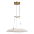 Rabalux - LED csillár kábelen LED/24W/230V 3000K