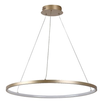 Rabalux - LED csillár kábelen LED/55W/230V 3000K