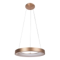 Rabalux - LED Csillár zsinóron CARMELLA LED/50W/230V átm. 60 cm