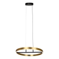 Rabalux - LED Csillár zsinóron LED/42W/230V arany