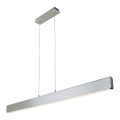 Rabalux - LED Dimmelhető csillár zsinóron LED/24W/230V 2700/4000/6500K 120 cm