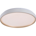 Rabalux - LED Dimmelhető mennyezeti lámpa LED/34W/230V 3000-6500K átm. 38 cm + távirányító