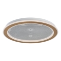 Rabalux - LED dimmelhető mennyezeti lámpa LED/34W/230V 3000-6500K átm. 51 cm + távirányító