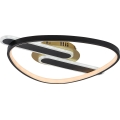 Rabalux - LED dimmelhető mennyezeti lámpa LED/60W/230V 3000-6000K 53x45 cm + távirányító