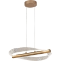 Rabalux - LED függeszték kábellel LED/24W/230V 3000K