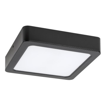 Rabalux - LED fürdőszobai mennyezeti lámpa LED/24W/230V 22x22 cm IP44