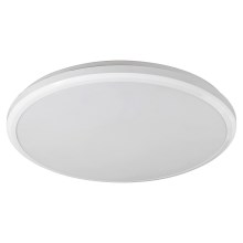 Rabalux - LED Fürdőszobai mennyezeti lámpa LED/24W/230V IP65