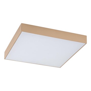 Rabalux - LED fürdőszobai mennyezeti lámpatest LED/24W/230V 2800/4000/6000K IP44