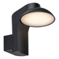 Rabalux - LED Kültéri fali lámpa LED/12W/230V IP54