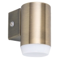 Rabalux - LED Kültéri fali lámpa LED/4W/230V IP44 bronz