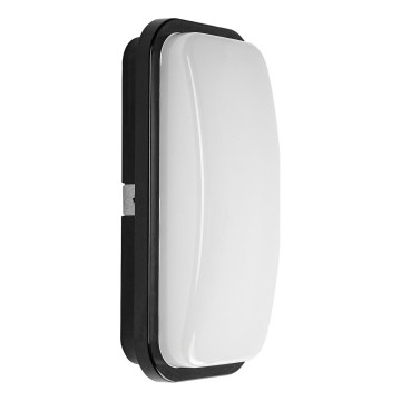 Rabalux - LED Kültéri fali lámpatest LED/15W/230V 4000K IP65