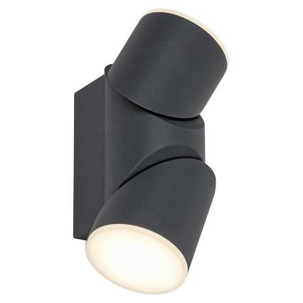 Rabalux - LED Kültéri fali spotlámpa 2xLED/6,45W/230V IP65