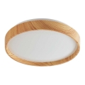 Rabalux - LED Mennyezeti lámpa LED/12W/230V 3000K átm. 26 cm