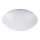 Rabalux - LED mennyezeti lámpa LED/12W/230V, átmérő 26 cm