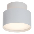Rabalux - LED mennyezeti lámpa LED/16W/230V 3000K fehér átm. 11 cm