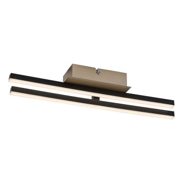 Rabalux - LED mennyezeti lámpa LED/16W/230V 4000K 13x41 cm