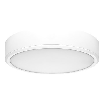 Rabalux - LED mennyezeti lámpa LED/22W/230V 3000/4000/6000K átm. 21 cm fehér