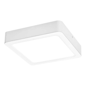 Rabalux - LED Mennyezeti lámpa LED/24W/230V 22x22 cm