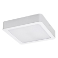 Rabalux - LED Mennyezeti lámpa LED/24W/230V 3000K 22x22 cm fehér