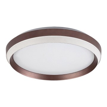 Rabalux - LED mennyezeti lámpa LED/24W/230V, 3000K, átmérő 39 cm