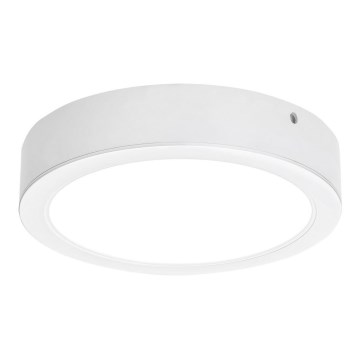 Rabalux - LED Mennyezeti lámpa LED/24W/230V á. 22 cm