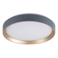 Rabalux - LED Mennyezeti lámpa LED/25W/230V 3000K átm. 38 cm