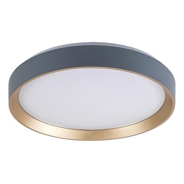 Rabalux - LED Mennyezeti lámpa LED/25W/230V 3000K átm. 38 cm