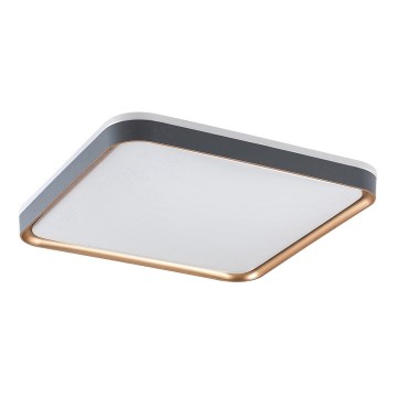 Rabalux - LED mennyezeti lámpa LED/26W/230V 3000K 39,5x39,5 cm