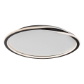 Rabalux  - LED Mennyezeti lámpa LED/40W/230V átm. 56 cm fekete