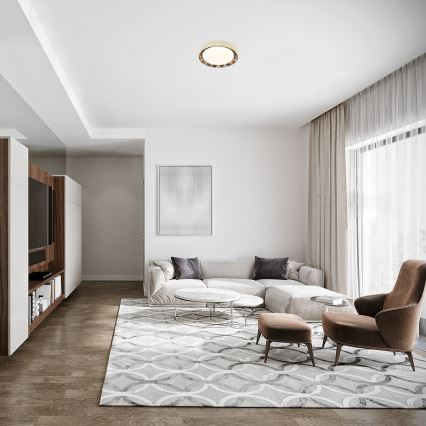 Rabalux - LED Mennyezeti lámpa LED/48W/230V átm. 51 cm