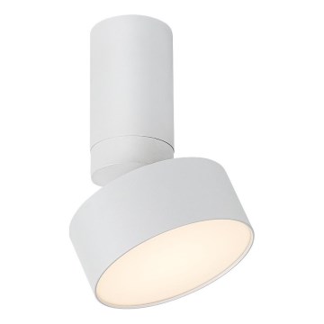 Rabalux - LED mennyezeti lámpatest LED/10W/230V 3000K fehér, átm. 11 cm