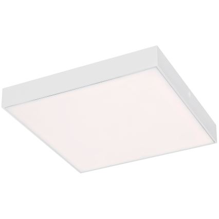 Rabalux - LED mennyezeti lámpatest, 24 W, 230 V, állítható színhőmérséklet 2800–6000 K, IP44, fehér, 30x30 cm