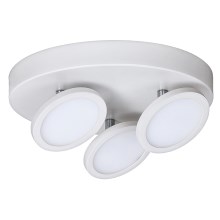 Rabalux - LED Menyezeti lámpa 3xLED/6W/230V fehér