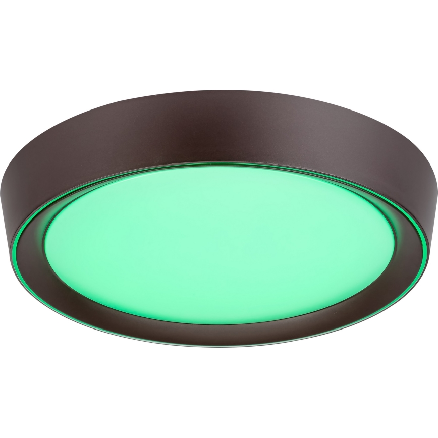 Rabalux - LED RGB dimmelhető mennyezeti lámpa LED/24W/230V 3000-6000K + távirányító