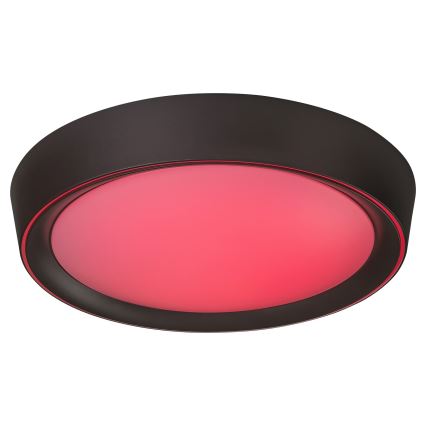 Rabalux - LED RGB dimmelhető mennyezeti lámpa LED/24W/230V 3000-6000K + távirányító