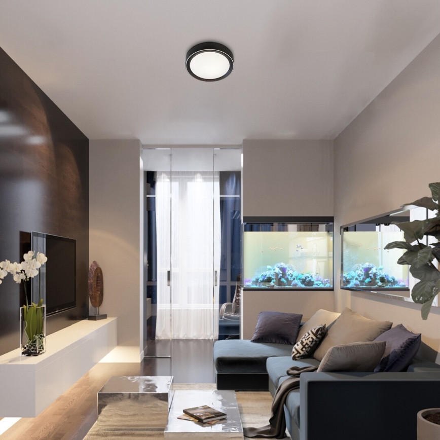 Rabalux - LED RGB dimmelhető mennyezeti lámpa LED/24W/230V 3000-6000K + távirányító