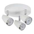 Rabalux - LED Spotlámpa 3xLED/4W/230V