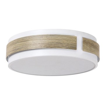 Rabalux - LED Szabályozható mennyezeti lámpa LED/18W/230V