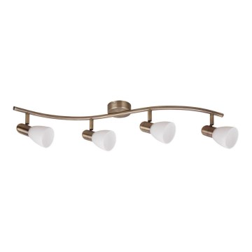 Rabalux - Spotlámpa 4xE14/40W/230V