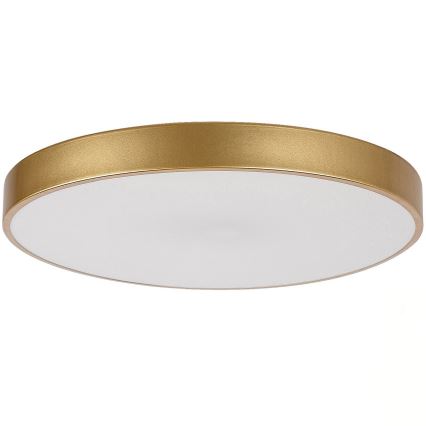 Rabalux - TESIA csere búra csillárhoz és mennyezeti lámpatesthez fehér