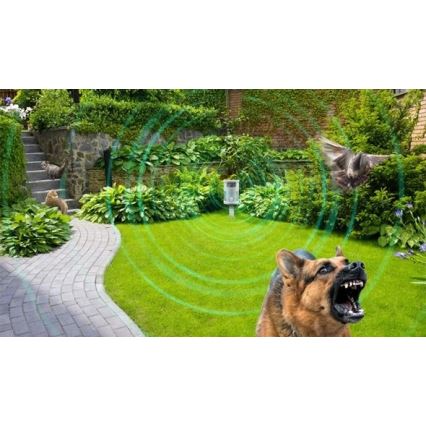 Rágcsálóriasztó mozgásérzékelővel 1x9V 6LR61