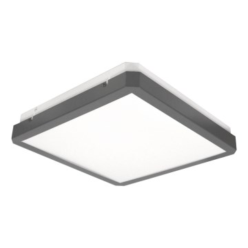 RAVA LED mennyezeti lámpatest mozgás- és alkonyérzékelővel, 38W/230V, 4000K, 41x41 cm, antracit