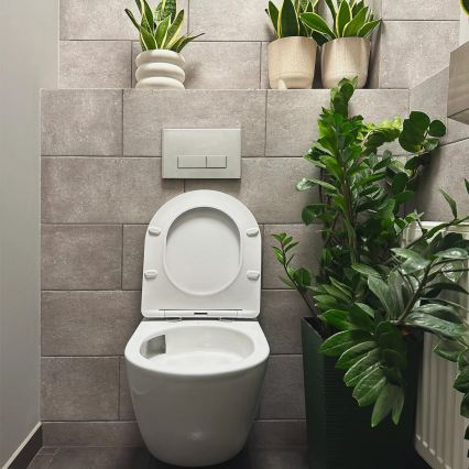 REA-C1259 - Fali WC ülőkével CARLO MINI TORNADO RIMLESS kerámia/fényes fehér