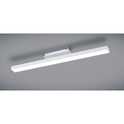 Reality - LED Dimmelhető mennyezeti lámpa AGANO LED/18W/230V fehér